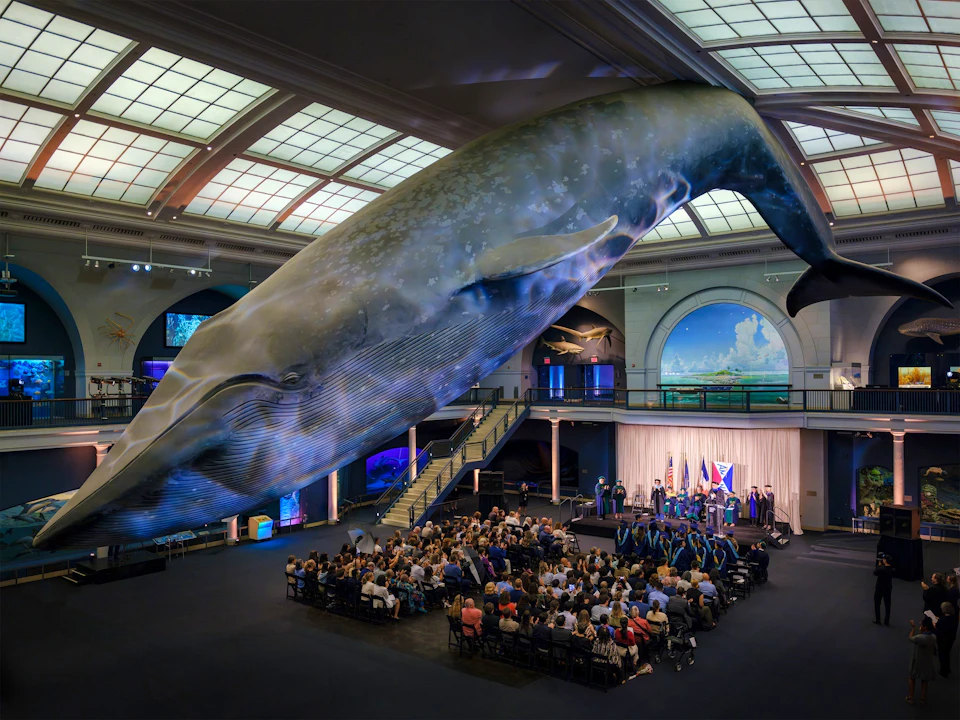 American Museum of Natural History Ticket Category
